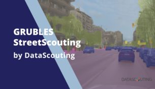 GRUBLES_StreetScouting platform by DataScouting